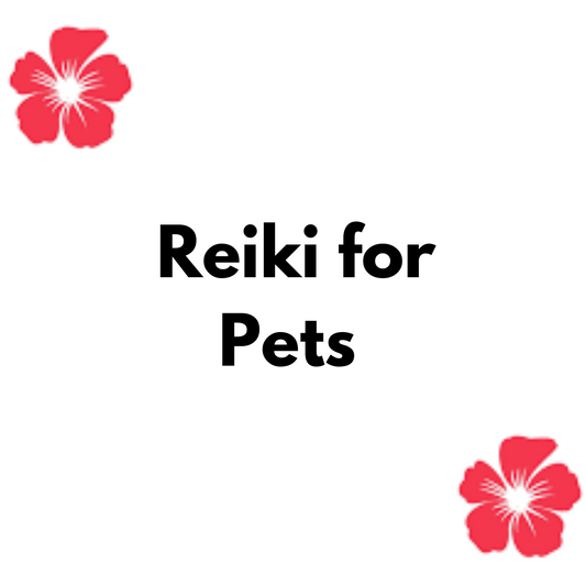 Reiki for Pets